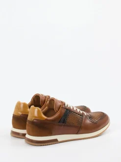 Ambitious – Sneaker aus Leder in Materialmix Braun
