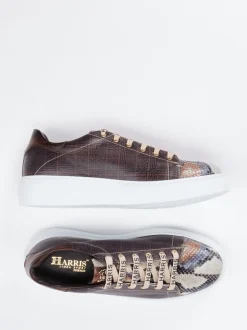 Harris – Sneaker aus geprägtem Leder Dunkelbraun