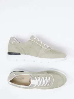 Hassia – Sneaker aus Veloursleder salbeigrün