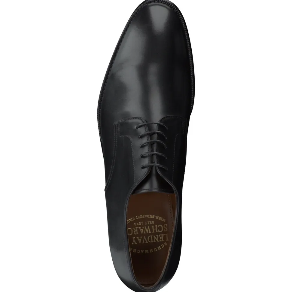 Lendvay & Schwarcz – Derby-Schnürschuh aus Kalbleder schwarz
