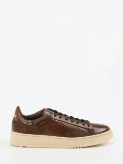 Lloyd – Sneaker aus Kalbleder in Dunkelbraun