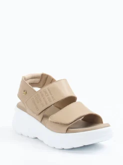 Panama Jack – Plateau-Sandale aus Lammleder Taupe