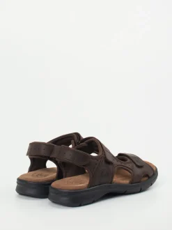 Panama Jack – Trekkingsandalen aus Fettleder braun