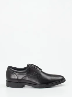 Sioux – Derby-Schnürschuh aus Kalbleder schwarz