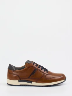 Sioux – Leder-Sneaker aus Kalbleder cognacbraun