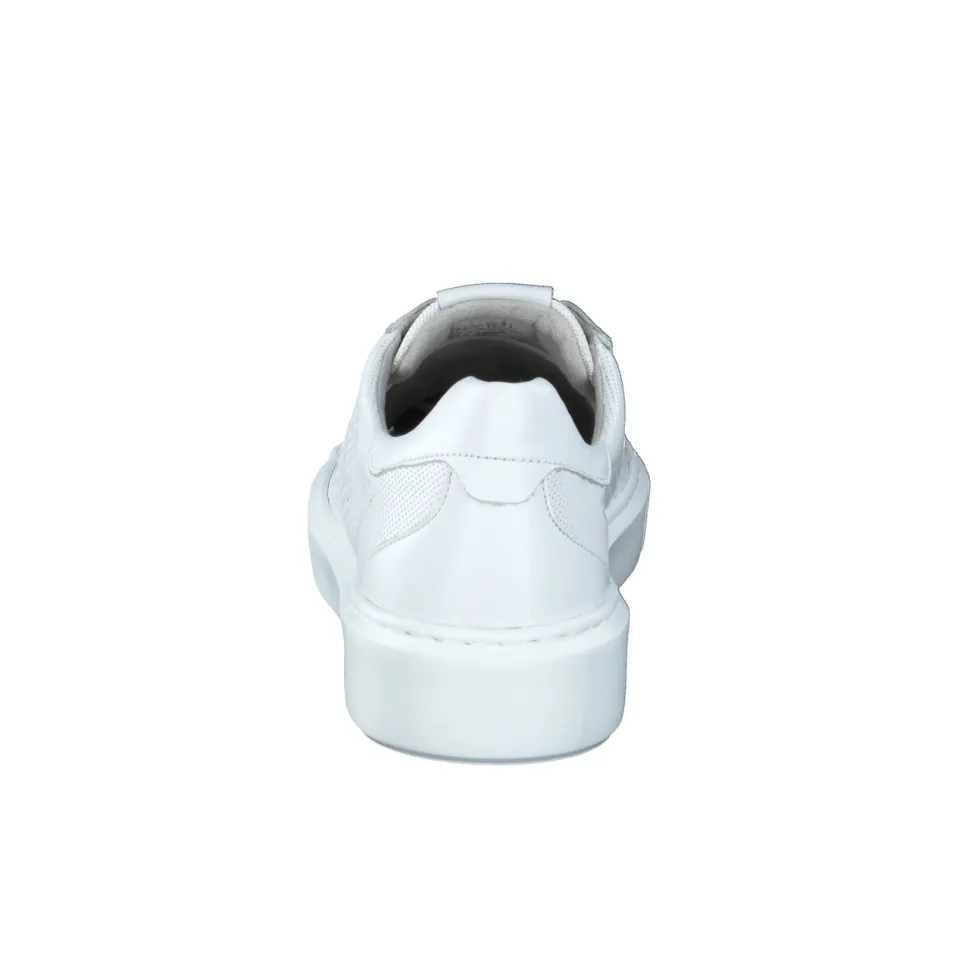 Sioux – Sneaker aus Kalbleder Weiß