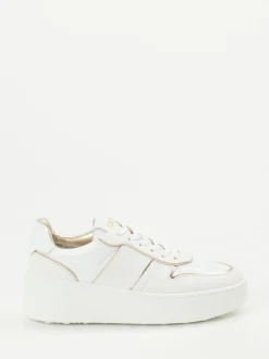 Tod's – Plateau-Sneaker aus Kalbleder Weiß-Gold