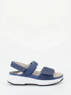 XSENSIBLE – Komfort-Sandale aus geprägtem Leder blau